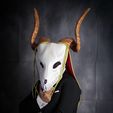 IMG_5005.jpg Elias Ainsworth Mask | Masque de mariée de The Ancient Magus' Bride Mask