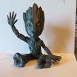 FICHA GROOT