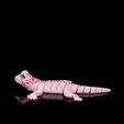 Gecko5.jpg Osga