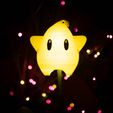 instagwamie-55-3.jpg Luma Star Lamp Ornament