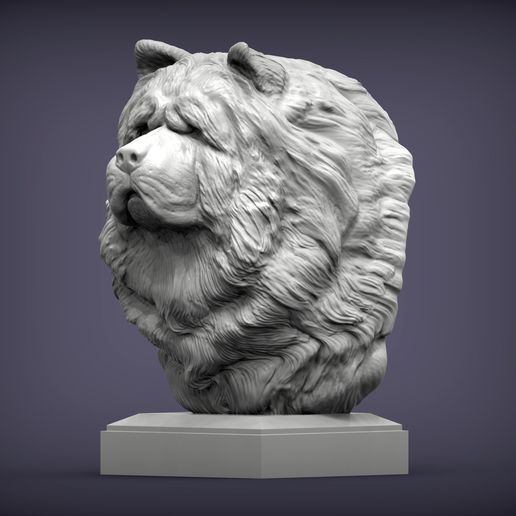 chow-chow4.jpg Modèle imprimé en 3D du buste de Chow Chow