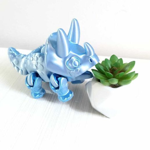 WhatsApp-Image-2023-07-27-at-7.29.02-AM-1.jpeg Dinosaure Triceratops Flexi