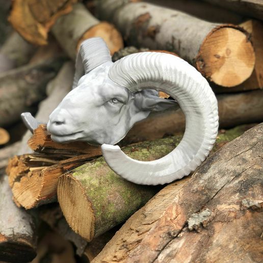 moufflon-head-3d-model-38f220fd37.jpg Moufflon head