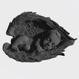 9.jpg NEWBORN BABY SLEEPING ON THE WINGS 3D print model