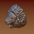 6.jpg Lion head