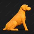 2742-Brittany_Pose_04.jpg Brittany Dog 3D Print Model Pose 04