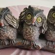 IMG_20230617_155728_edit_285793561265765-7994.jpg owls see hear say no evil