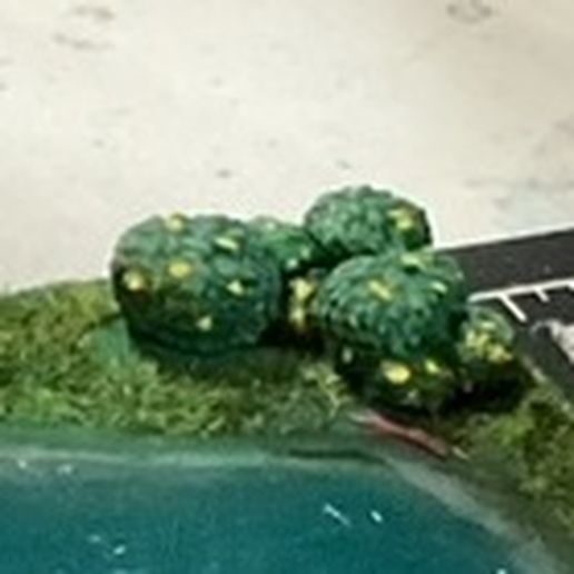Bushes scaled for Townsfolk Tussle 3D model