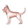 model-3.png Dog Low Poly no.2