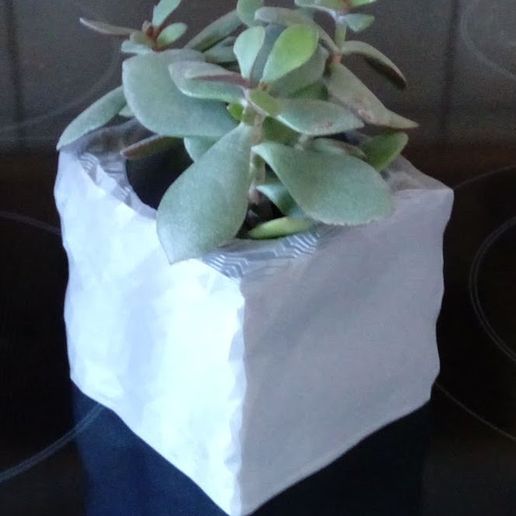 IMG_20230916_114710_296.jpg Flower pot or pen holder, granite paving stone