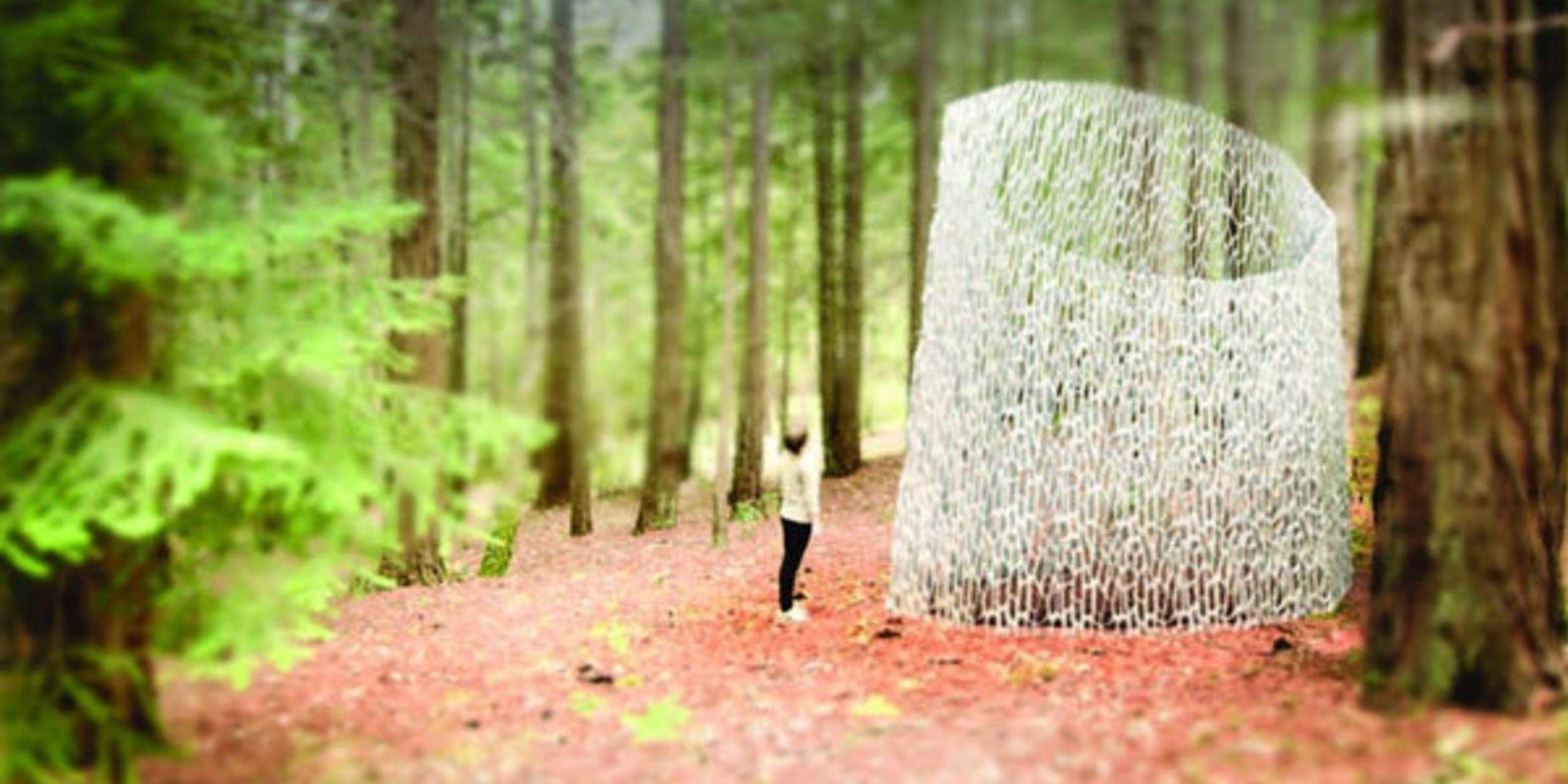 echoviren 3D architectural masterpiece oeuvre redwood forest mendocino county sequoias cults cults3D fichier 3D impression 3D 3D printing 2