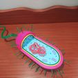 IMG_20210828_120654.jpg Prokaryotic Cell