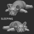 sleeping.jpg French bulldog lying pose print in place toy