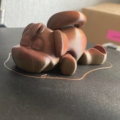flexi puppy