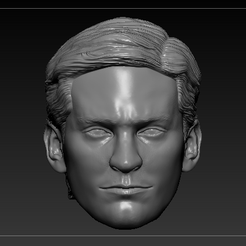TOBEY-MAGUIRE-V4-FRENTE.png Tobey Maguire Peter Parker Headsculpt