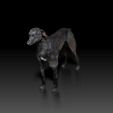 Grey-Hound03.jpg Greyhound - DOG BREED - CANINE -3D PRINT MODEL