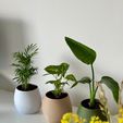 self-watering-3D-printed-planter-5.jpg KAPKA self watering planter