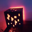 IMG_20230406_193719_8.jpg Minecraft light bloc
