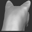 9.jpg Cougar / Mountain Lion head for 3D printing