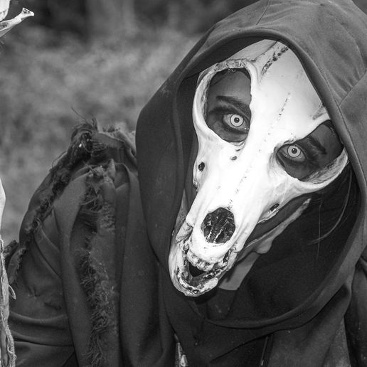 ROL_2016-08-20_618_200_0618.jpg Schamanenmaske