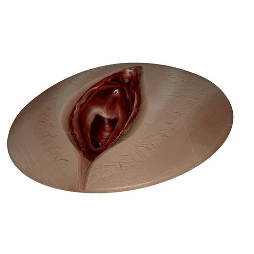 Busty tombul qizlar porno video