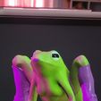 VideoCapture_20220508-025458.jpg Sexy Frog