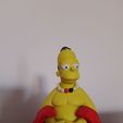 Homer buddha