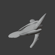 Hornbill_top.png Hornbill