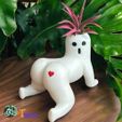 WhatsApp-Image-2025-05-14-at-7.13.17-PM-1.jpeg Il fantasma dal sedere grosso, Scherzi in giardino, Il giardiniere maleducato