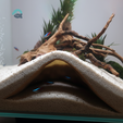 Abyss-Den-3d-printed-aquarium-terrarium-cave-pet-hide-shelter-by-Aquireef-closeup-with-fish.png Aquarium & Terrarium Cave - Pet Shelter and Hide: easy printable pet safe design