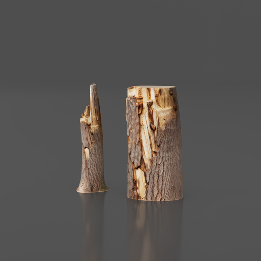 Wood 02