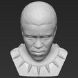 16.jpg Chad Boseman Black Panther bust 3D printing ready stl obj formats