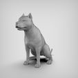 00.5.jpg American Pitbull Pose 02