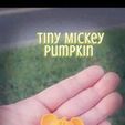 359994526_1245365649502430_4397136626786268619_n.jpg Tiny Mickey Pumpkin Decor / Mickey head decor/ Tier tray/ Mickey confetti/ Earrings/ magnets / keychains/ Fall Halloween