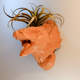 3.png Armadillo girdled lizard head mouth open wall mount planter pot flower vase low poly stl