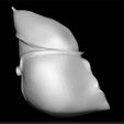 liver_anatomy_3.jpg Modelo anatómico del hígado - Estructura detallada del órgano - Impresión 3D del hígado - Exposición médica educativa - Representación de órganos del cuerpo humano
