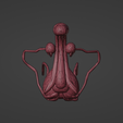 18.png 3D Model of Male Reproductive System
