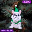 1702590326677.jpg Frenchie the Santa Claus - Christmas Collection (STL & 3MF)