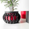 untitled-2925.jpg The Vyre Planter Pot & Orchid Pot Hybrid with Drainage Tray: Modern and Unique Home Decor for Plants and Succulents