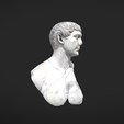 Capture d’écran 2017-11-13 à 14.39.04.png Bust of Trajan