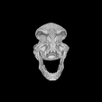 snapshot05.png Saurian Skull