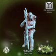 Iolrath-the-Druidpresupport.jpg The Enchanted Forest March '21 Patreon Release
