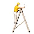 Painter40119.jpg N4 Painter on the Ladder