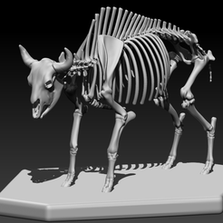 Bull.png Fichier STL gratuit Structure osseuse du taureau sauvage・Objet pour impression 3D à télécharger