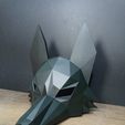 IMG_20230724_013816.jpg Low poly Coyote mask