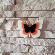 20170713_102851.jpg butterflies