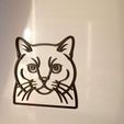 IMG_20251014_125406.jpg British cat - linear 3D image (magnet / wall decor)