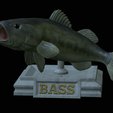 Bass-stocenej-2.png fish bass trophy statue detailed texture for 3d printing