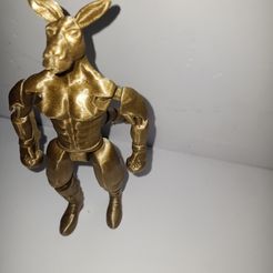309059926_1099593950667168_7141314553191067230_n.jpg STL file Articulated Rocky Roo・Template to download and 3D print, 3dPrintCandy