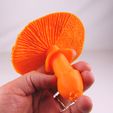 seta 3d.jpg Mushroom. Didactic 3D.